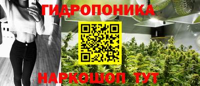 каннабис Славгород