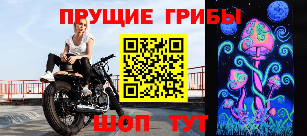 Галлюциногенные грибы Psilocybine cubensis Новотроицк