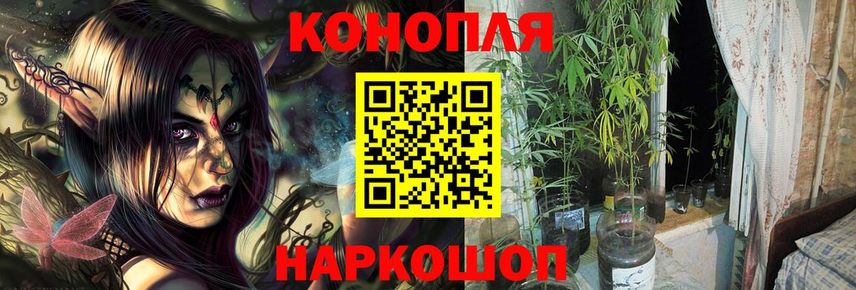 Бошки Шишки SATIVA & INDICA Новотроицк